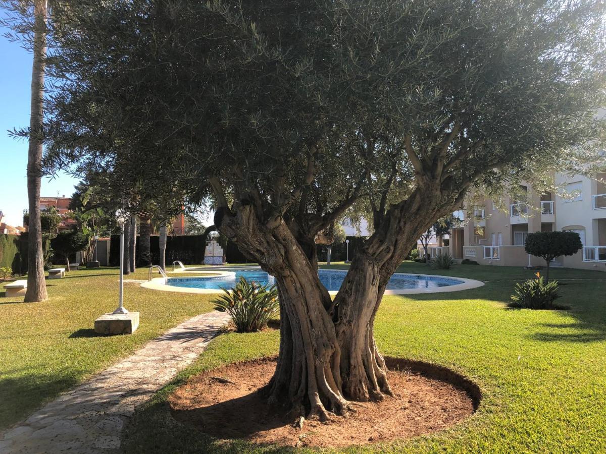 Hort 2-serviden Căn hộ Denia
